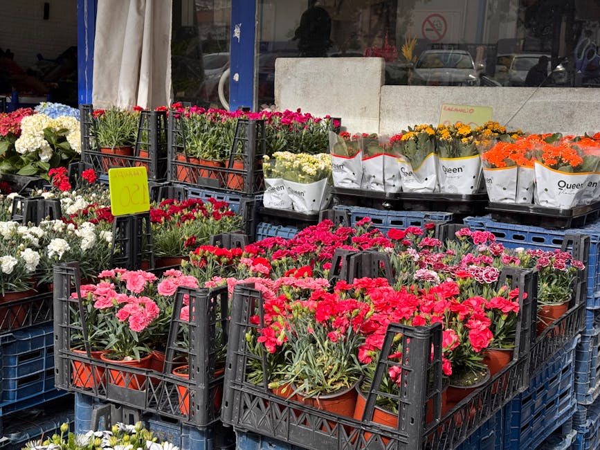 Outdoor display of various potted flowers at a florist shop, featuring vibrant pink, red, white, orange, and yellow blooms arranged in black plastic crates. The flowers include carnations and chrysant